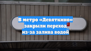 В метро «Девяткино» закрыли переход из-за залива водой
