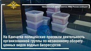 На Камчатке полицейские пресекли деятельность по незаконному обороту водных биоресурсов