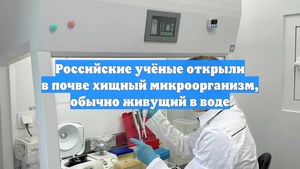 Российские учёные открыли в почве хищный микроорганизм, обычно живущий в воде
