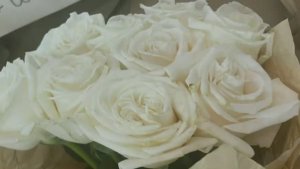 Медитация Любовь Анастасии Луниной