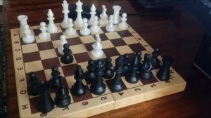 шахматы БЕЗ ПРАВИЛ(МЕМ)