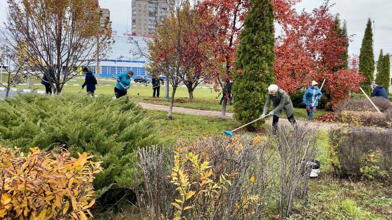 Экологический субботник 01_11_2025 г. смотреть онлайн
