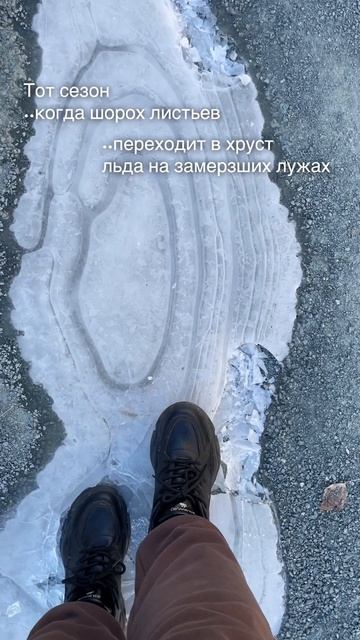 Когда тренд «шуршание листьми» сменяет новый..