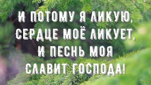 Господь моя сила и щит - минус мой 1