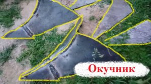 Изготовление польского окучника для мотоблока.