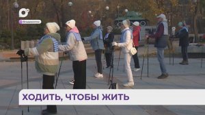 Без комментариев / Скандинавская ходьба / 01.11.25