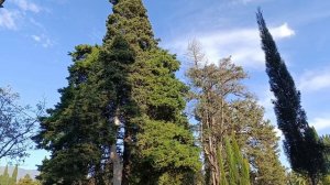 20)На зиму в Абхазию-4. Луна Охотника и песня про друга