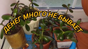 ДЕНЕГ МНОГО НЕ БЫВАЕТ