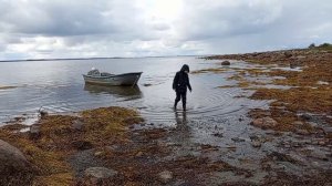 Белое море. Вирмская губа