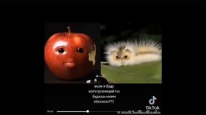 Другие котыгусеницы