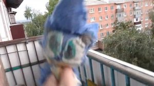 Соник exe и Хомяк exe