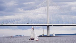 Школьник прыгнул в Финский залив из-за мошенников