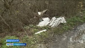 Заповедные земли Кавминвод расчищают от залежей мусора. Как борются с нарушителями?