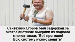 Только юмор! )