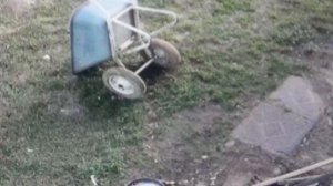 Пришла кошка, а  в столовой бардак     ПОДПИШИСЬ