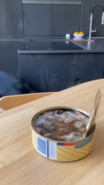 Пробуют сюрстремминг