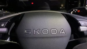 Сброс индикатора замены масла и ТО на Skoda Kodiaq 2 (PS 7, NG) MQB-Evo