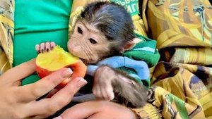 Анфиса так любит посидеть на ручках у Алины и погрызть вкусное яблочко, она просто КРАСОТКА )