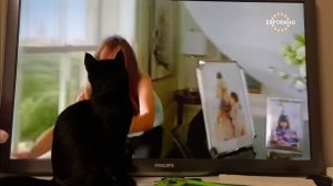 Влюбился 😍