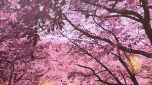 Магия утра - нежная музыка для хорошего настроения