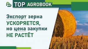 Экспорт зерна ускоряется, но цена закупки не растёт | TOP Agrobook: обзор аграрных новостей