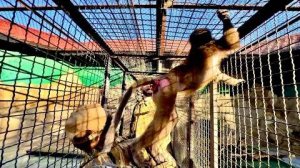 Это ЖЕСТЬ, Люська устроили СКАНДАЛ, поссорилась с соседям Елисея и кинулась в ноги к Елисею!!!