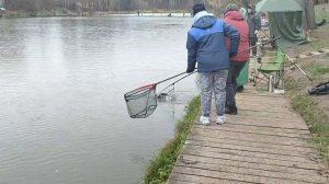 На блесну.Форель