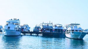 Шарм .Эксурсия на яхте на Белый остров в заповеднике Рас Мухаммед25год