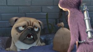 Реальная белка (2014) HD мультфильм, комедия, преступление, приключения, семейный