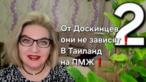 От Доскинцев они не зависят! в Таиланд на ПМЖ!