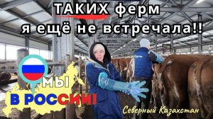 176 Я в Казахстане. Зато руки в тепле / Канал Полины