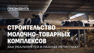 Качество белорусской молочки! Комфорт коров и строительство новых МТК. На контроле Президента