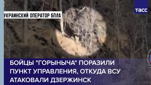 Бойцы "Горыныча" поразили пункт управления, откуда ВСУ атаковали Дзержинск