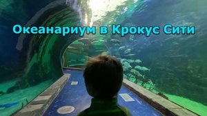 Посещаем Океанариум в Москве