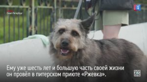 Пока мы не встретились