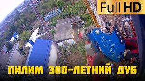 Пилим 300-летний дуб диаметром 2 метра | Часть 3 | Спил деревьев Краснодарский край