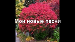 Христианские песни. Мои новые авторские песни.