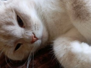 🔥🔥🔥🔥🔥🔥🔥