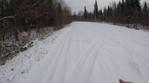 День 548. Пришла зима. Дистанция 8 километров.