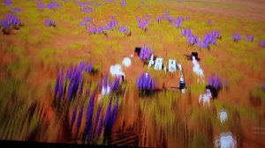 как я туда попал?