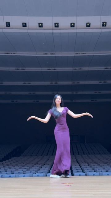 Юньнаньская песня и танцы, челлендж, Honey Baby