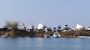 Стоянка катеров . Владивосток