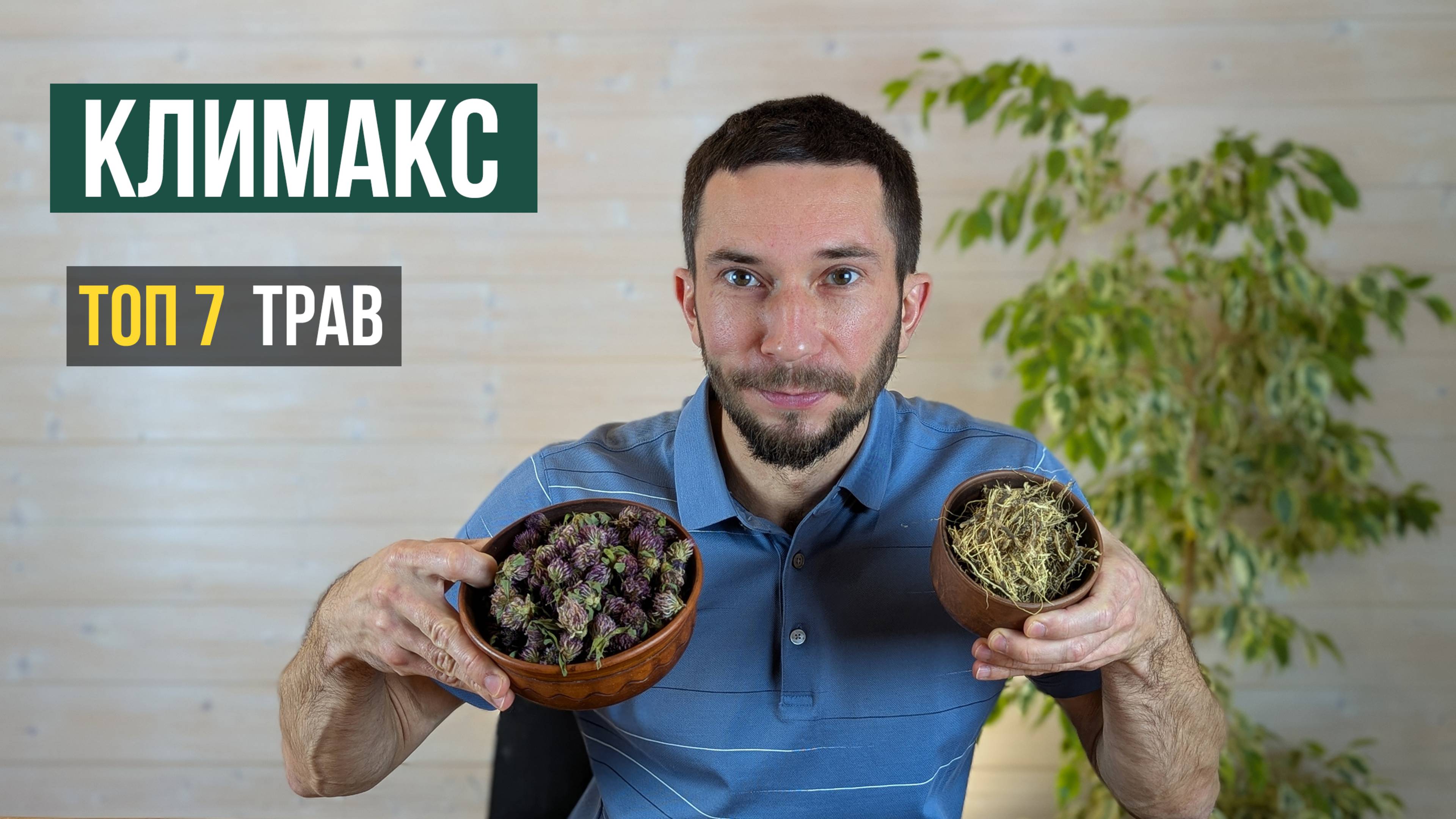 Лучшие травы при климаксе и приливах, лекарственные растения при менопаузе