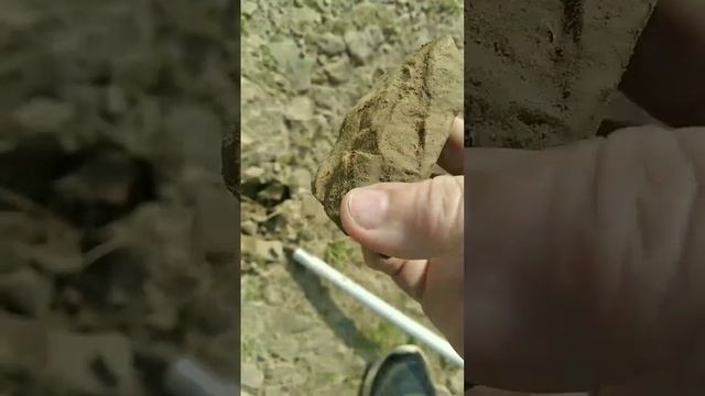 История Земли под ногами. смотреть онлайн