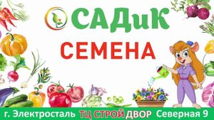 ТРАНСМЕДИА – САДиК