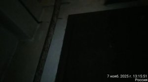 07.11.2025 алки орут с часу до трёх кв4. Результат деятельности полиции. Оренбург.