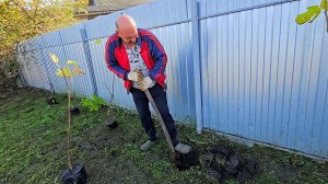 ✨️Завтрак от Анатольевича✨️Кумуля зарядила работой на весь день!🤗✨️