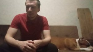 Что такое держать собаку на протяжении 10 лет