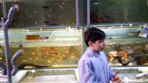 Аквариумный вундеркинд!