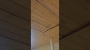 1000098774.mp4домик